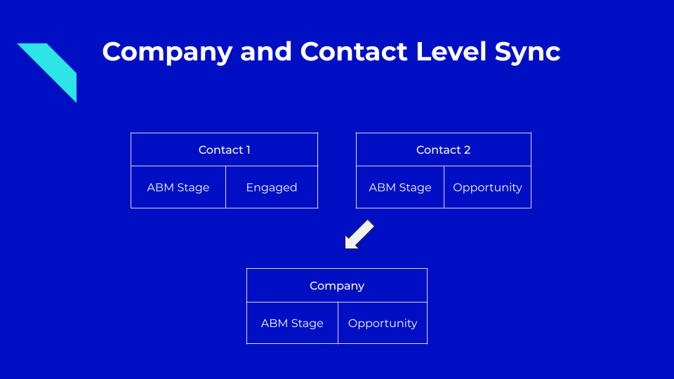 Company and contact level sync in HubSpot ABM