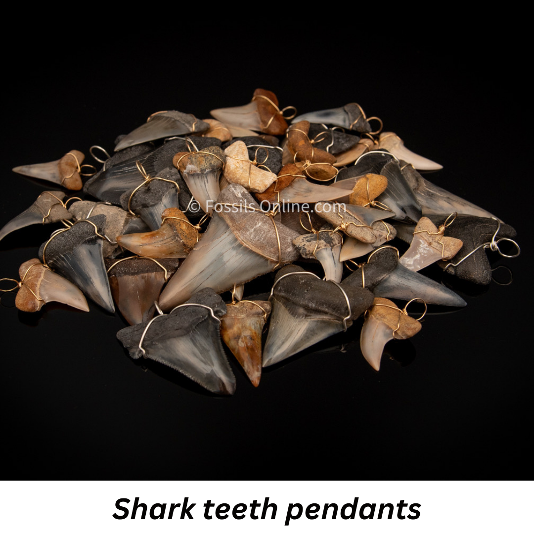 fossil shark teeth pendants