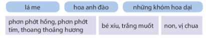 BÀI 27: NẾU EM CÓ MỘT KHU VƯỜN