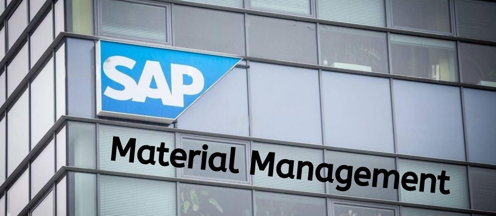 SAP Material Management