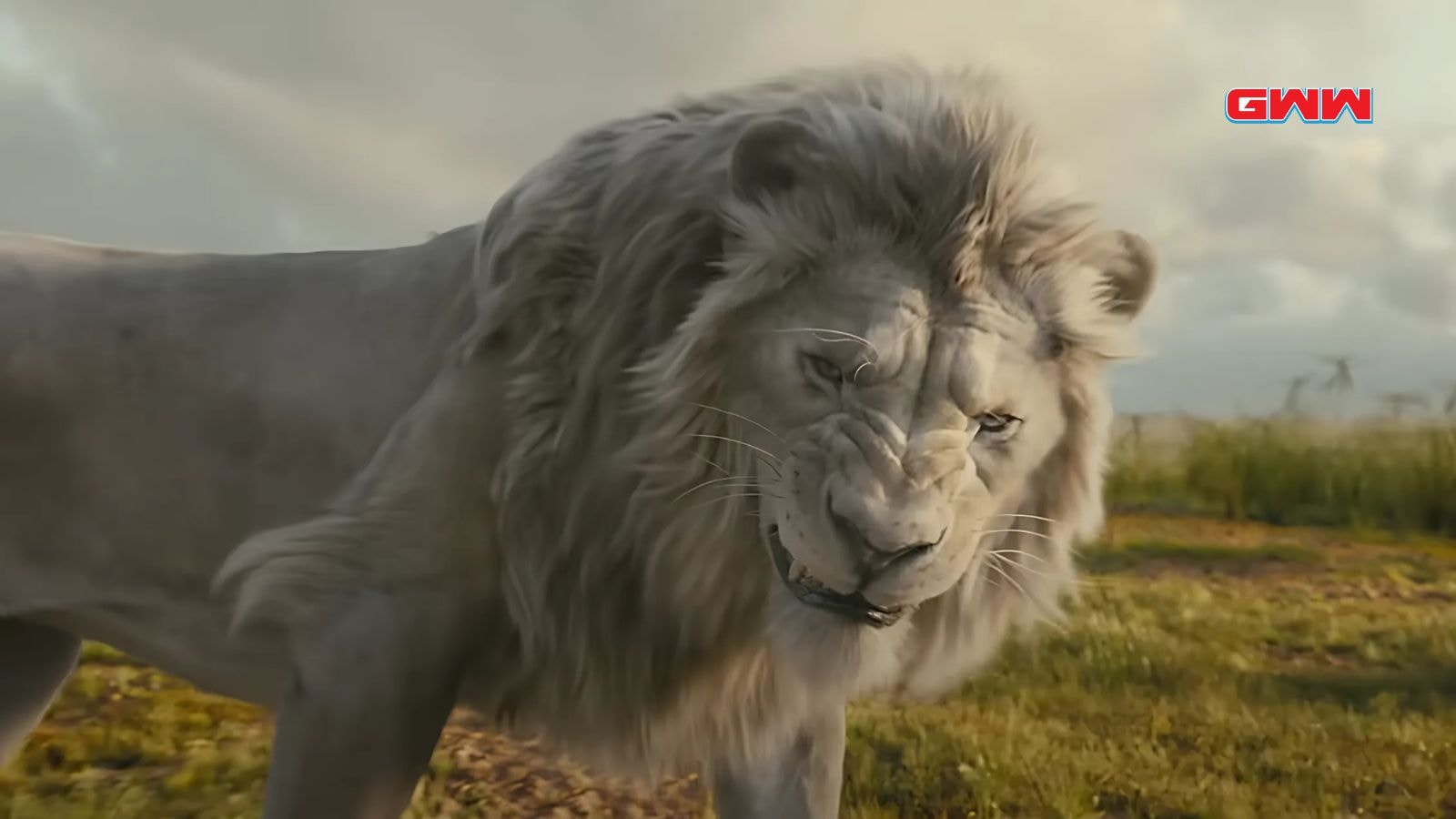 Powerful lion from Mufasa the Lion King voiced by Aaron Pierre