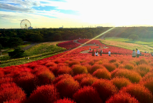 Explore Ibaraki: Japan’s Hidden Gem Comes to Life at JAPAN RAIL CAFE - Alvinology