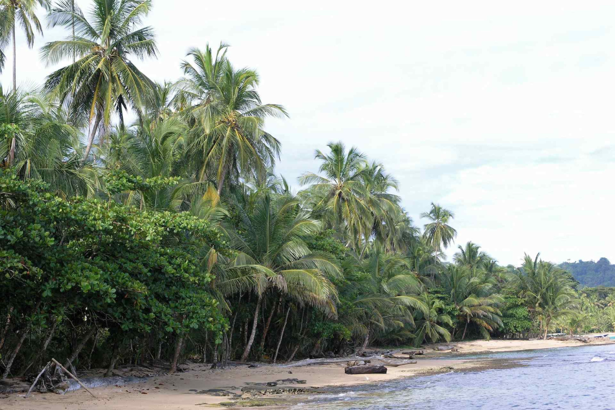 Refugio Nacional Gandoca in Punta Uva 
