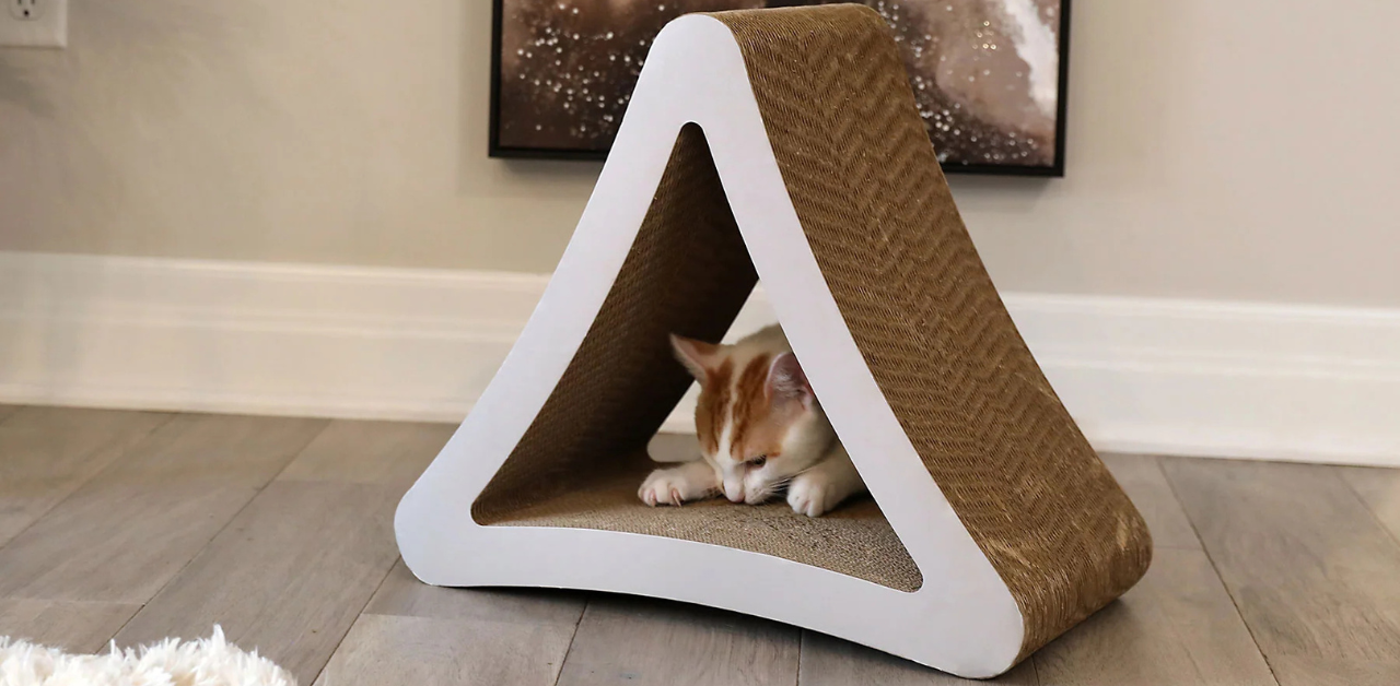 Small orange and white cat resting inside a triangular-shaped cardboard cat scratcher with a white frame