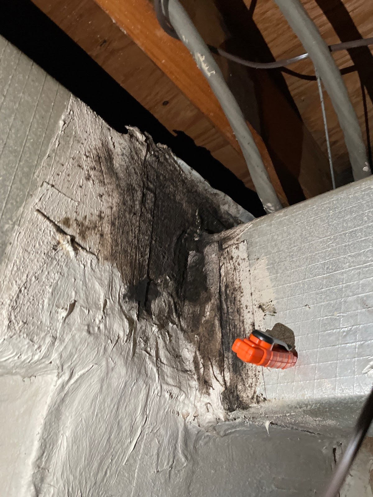 Microbial growth around mastic tape on ductwork.