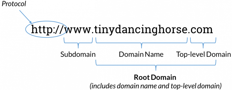 root domain