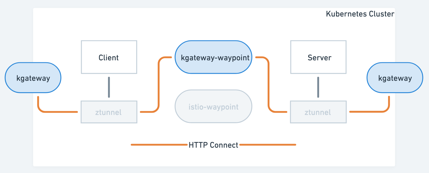 A look at the 7 layer features