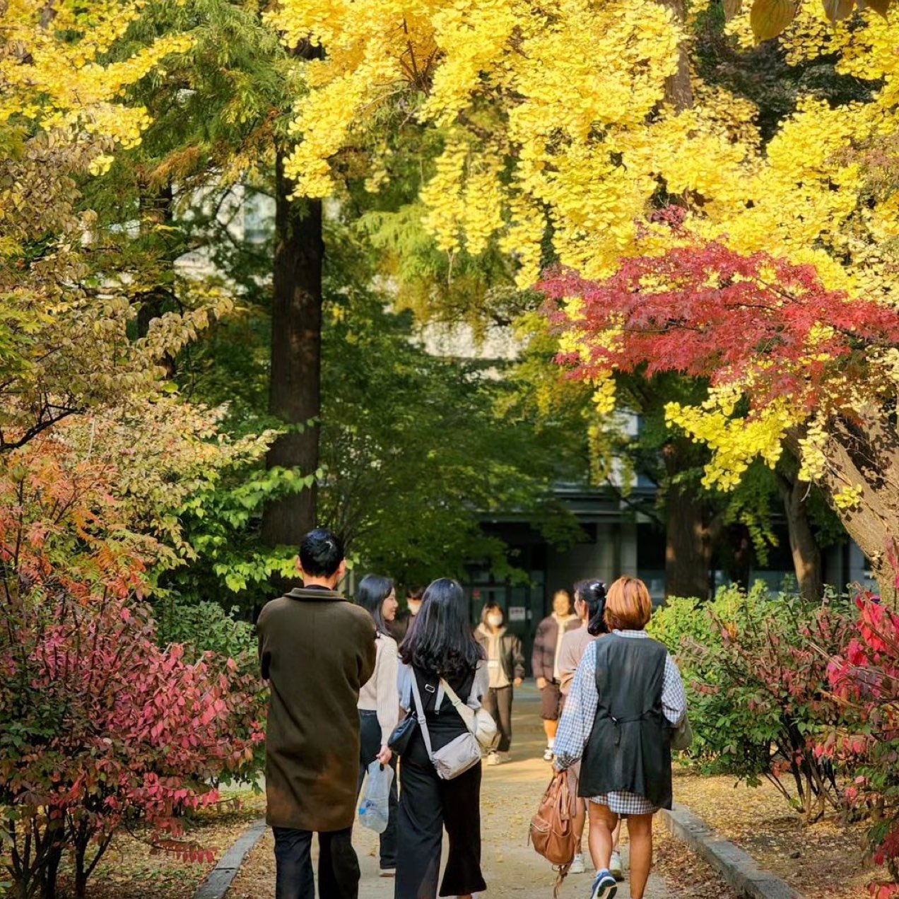 梨花女子大學