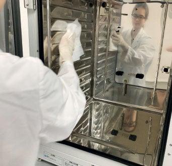 lab professional cleaning cell culture incubator