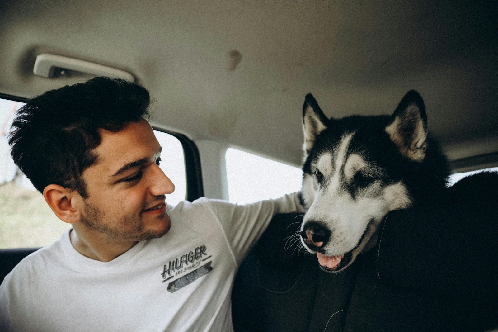 Dog Riding in Car with Owner