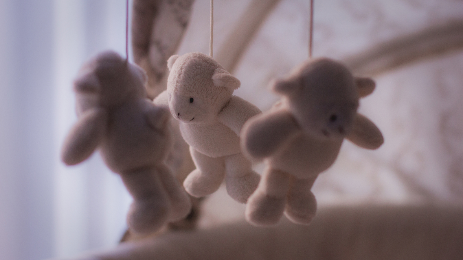 Tiny bears with soft lighting in a nursery.