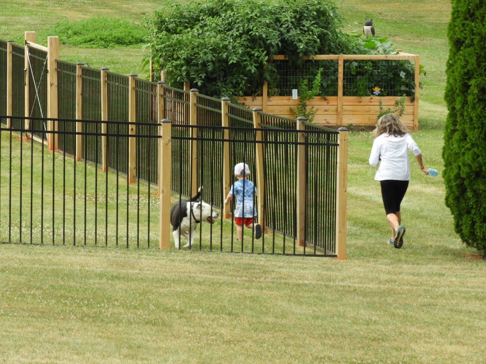 A little boy and his dog run inside a well-installed metal fence while his mom runs outside, surrounded by lush trees.