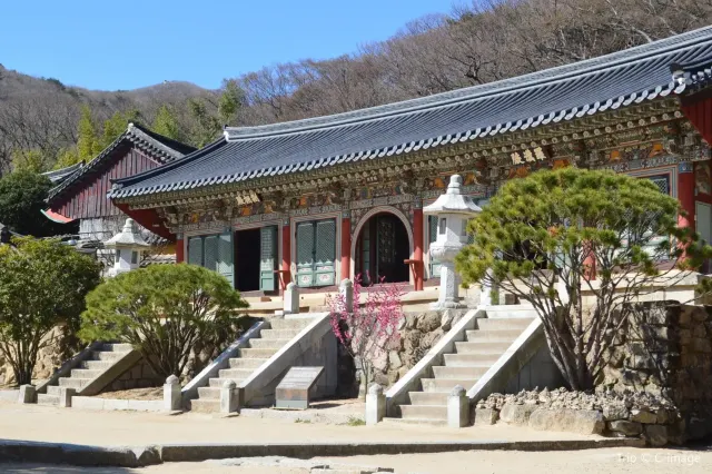 【2025 釜山自由行】5 天 4 夜行程推薦/美食景點/便宜機票懶人包