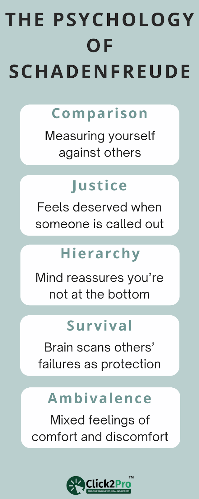 Infographic explaining the five psychological triggers behind schadenfreude reactions.