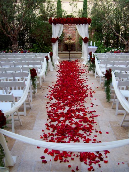 Aisle of Love: Red Roses & Petals