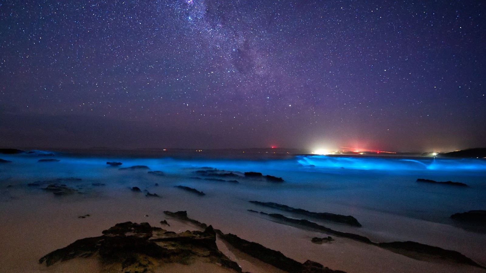 India’s coastal bioluminescent hotspots: Mattu Beach, Karnataka