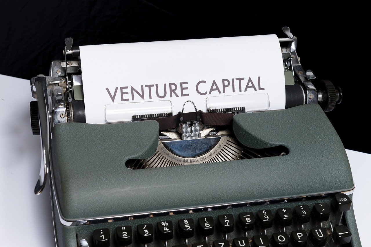 Venture Capital for Startups: Why VCs Fuel Innovation and Growth