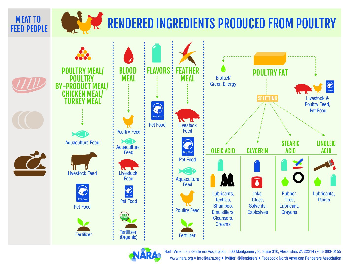 Source: North American Renderers Association

N.B. In Bangladesh, Bone and Blood meal are restricted to be used as animal feed.