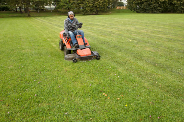 Lawn mower rental
