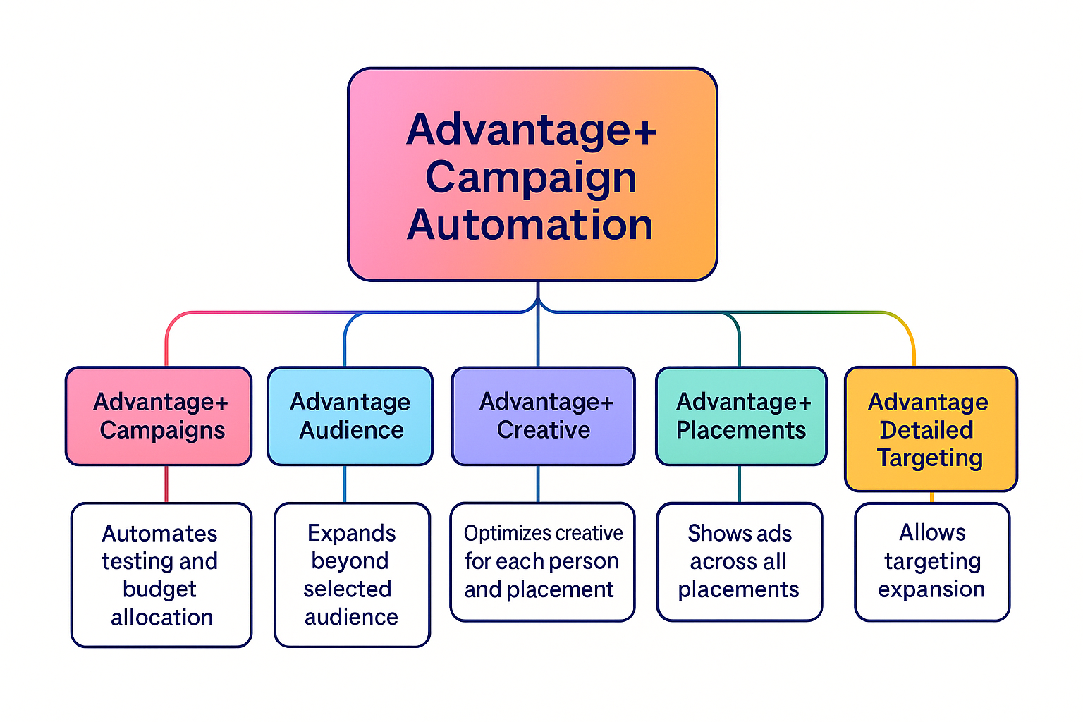 A colorful horizontal flowchart showing how Advantage+ Campaign Automation connects with Campaigns, Audience, Creative, Placements, and Targeting