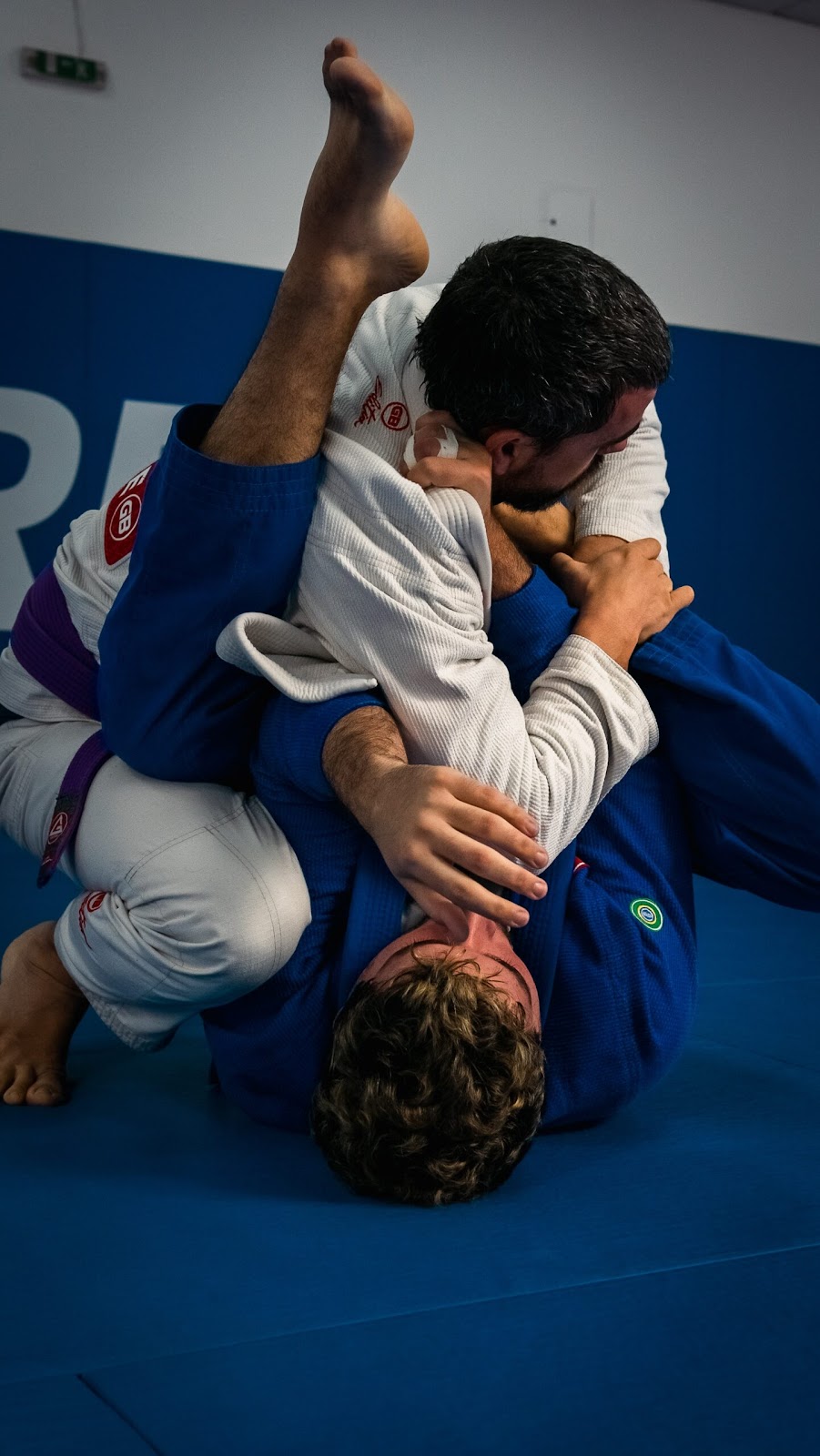 BJJ combat sports