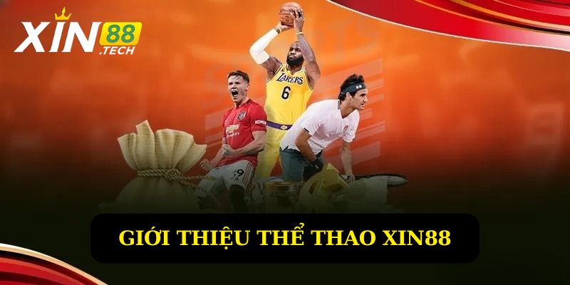 Sảnh Thể thao hội tụ nhiều bộ môn hấp dẫn