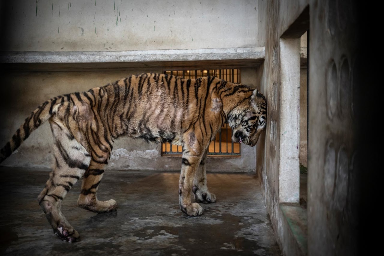 https://www.fpa2photoaward.org/thmb/1920/medias_upload/moxie/editions/2025/HVN_1WINNER_2_HVN_191.jpg