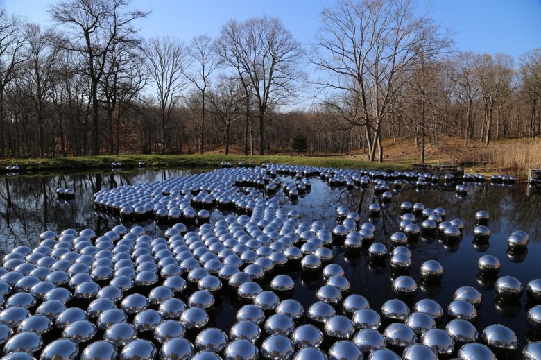 Narcissus Garden -