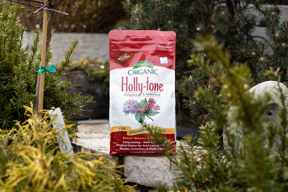 Holly Tone Fertilizer