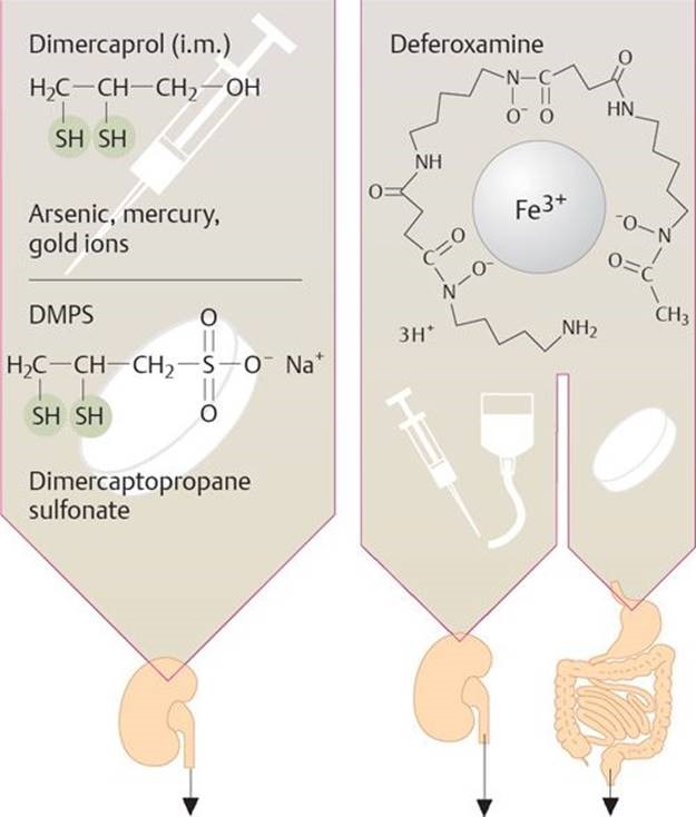 Therapeutic Indication of Dimercaprol