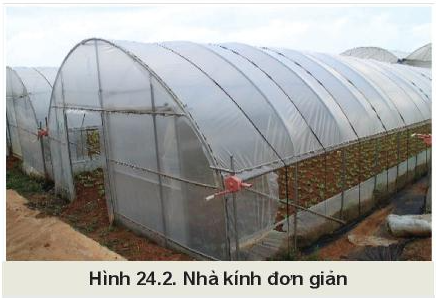 BÀI 24: MỘT SỐ CÔNG NGHỆ CAO TRONG TRỒNG TRỌT