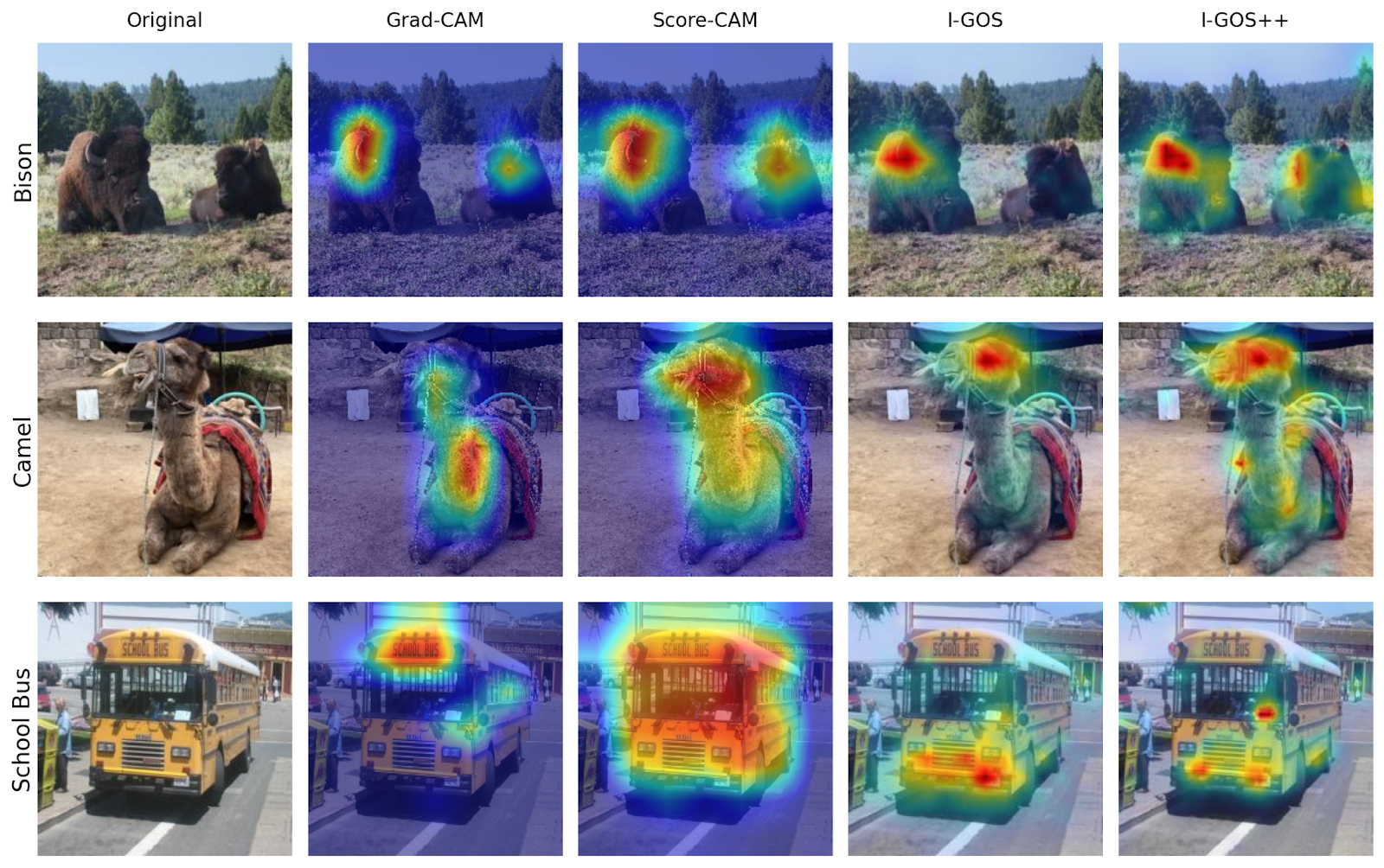 Bison, Camel, and school bus images with Grad-CAM, Score-CAM, I-GOS, and I-GOS++ comparison