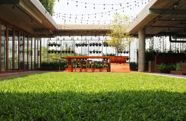 A green lawn with a table and chairs

AI-generated content may be incorrect.