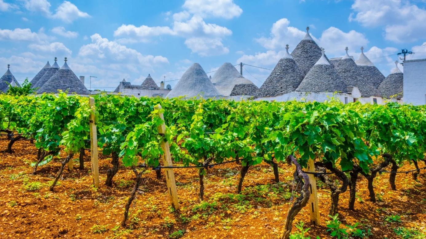 puglia-3890-1-2.jpg