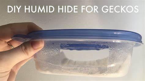 DIY Humid Hides for Geckos | Gecko, Leopard gecko diy, Gecko terrarium