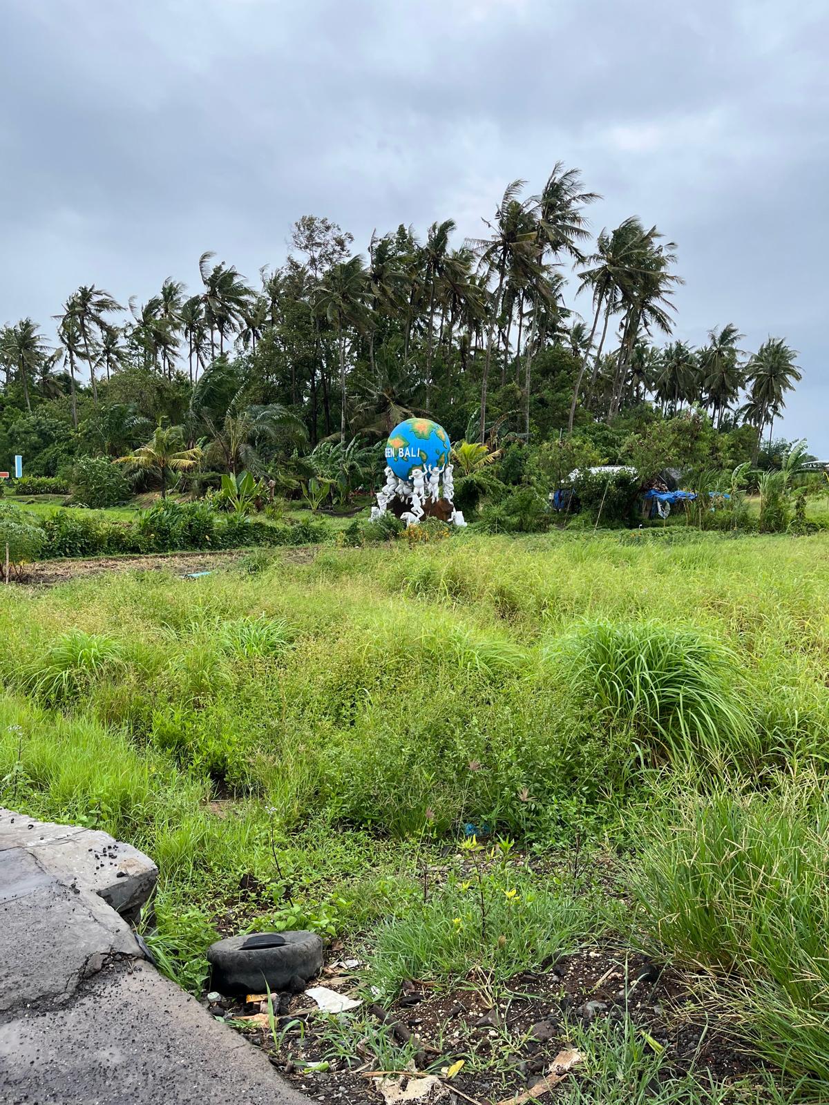 what to do in ubud - ATV and enjoy rice paddy view