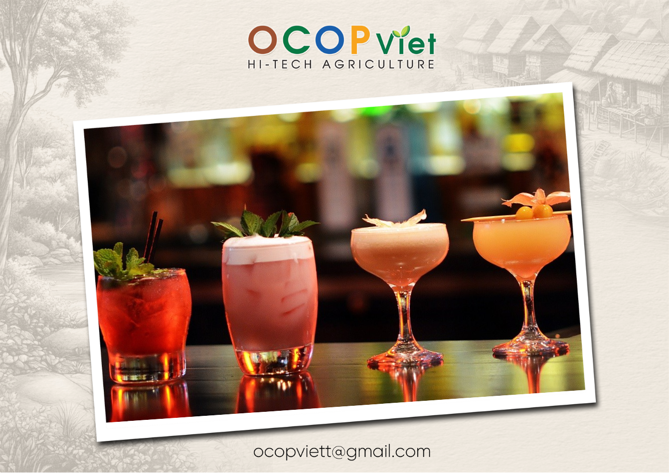 cocktail trái cây