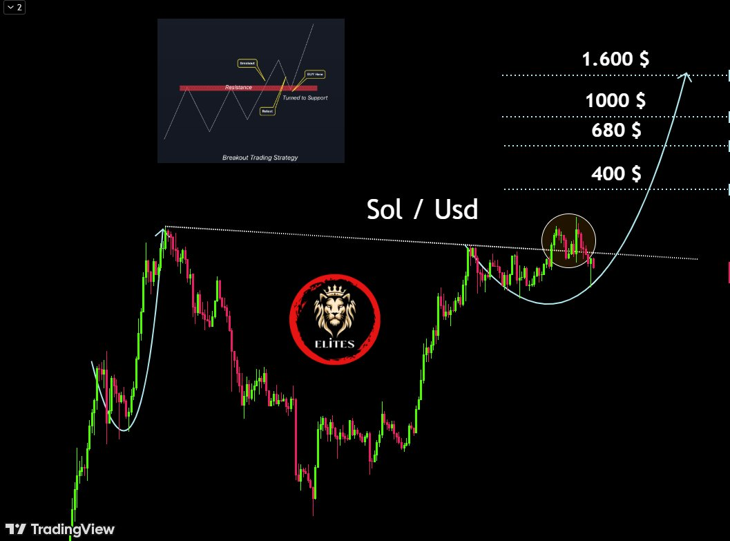 Bitcoin Tembus US$ 97.000, Apakah Altcoin Ini akan Naik 50 Kali Lipat?