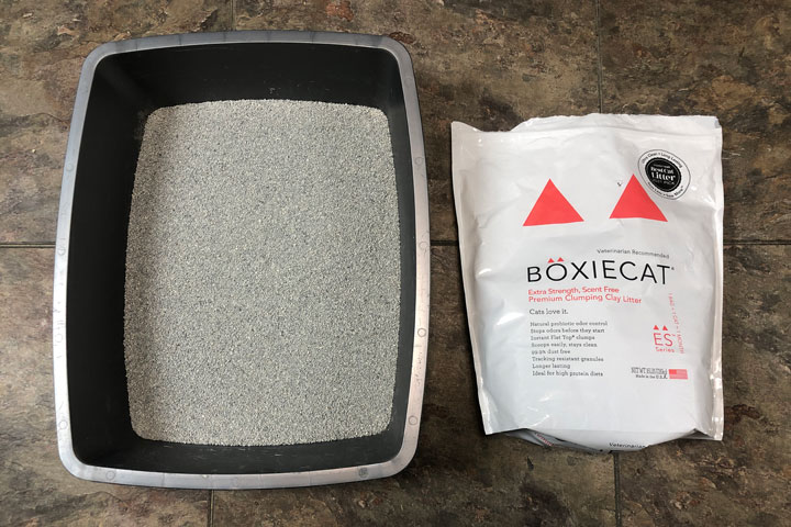 Boxie Cat Litter Reviews: Uncover the Purr-fect Choice!