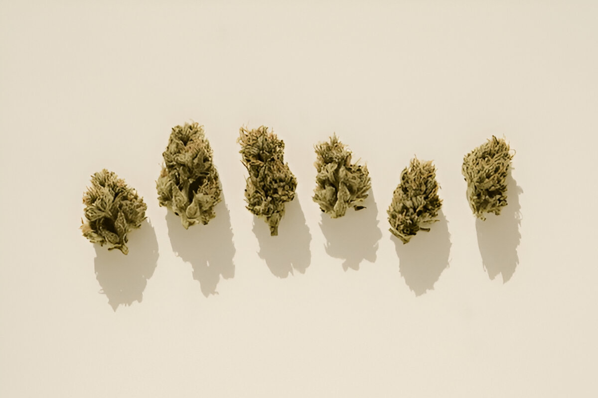 Exploring Different Varieties of THC&nbsp;