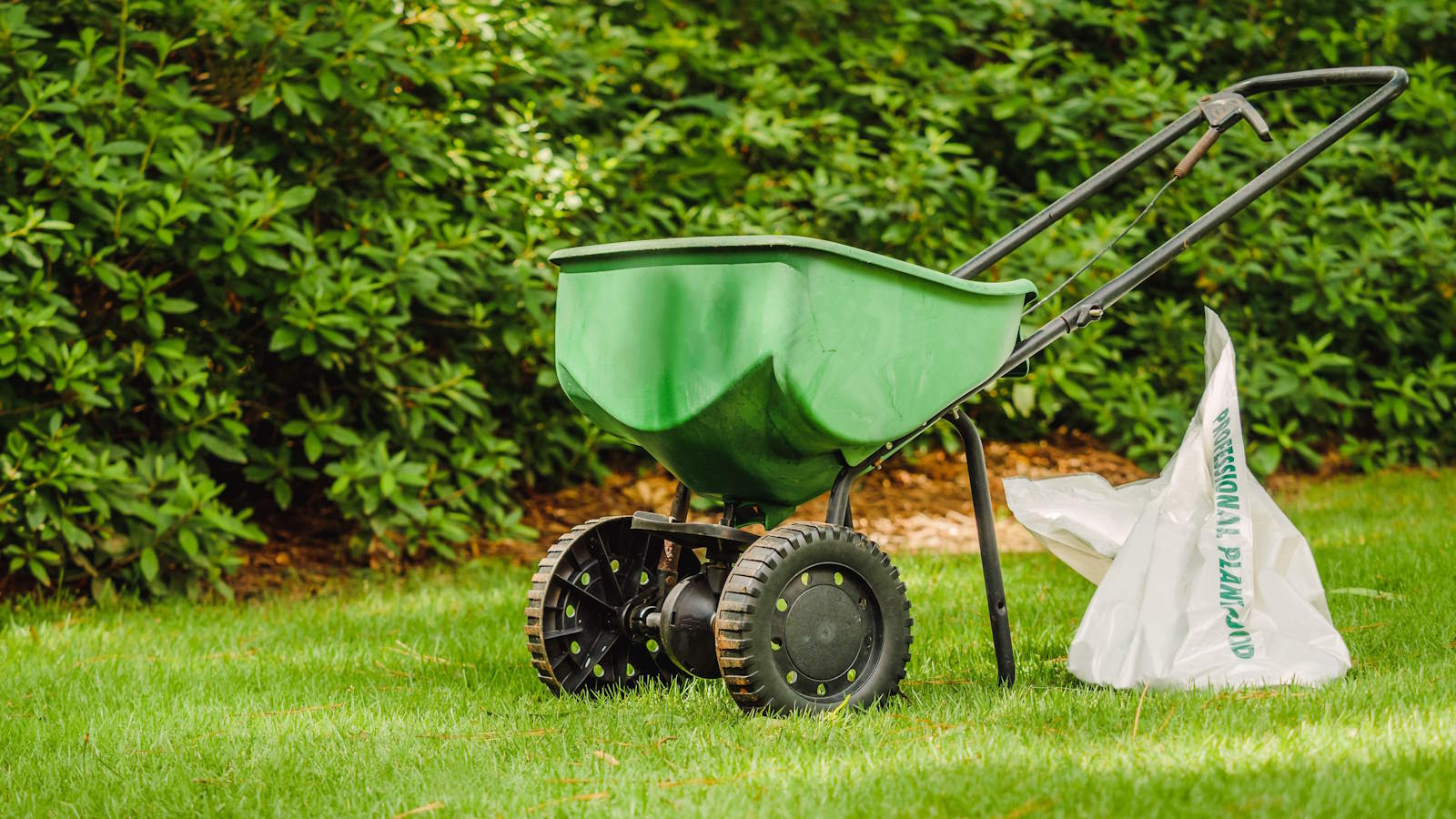 Fertilizing Lawn with Fertilizer Spreader