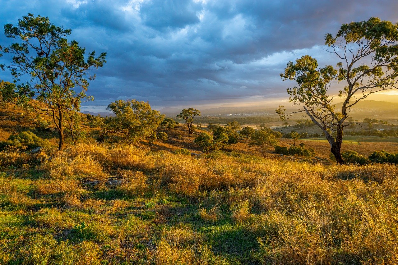 A nature landscape. 