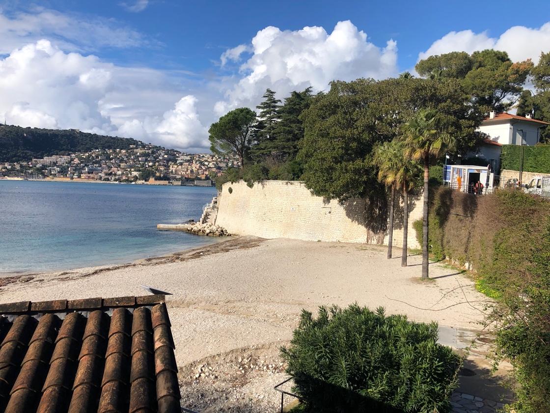 A beach with trees and a wall

Description automatically generated