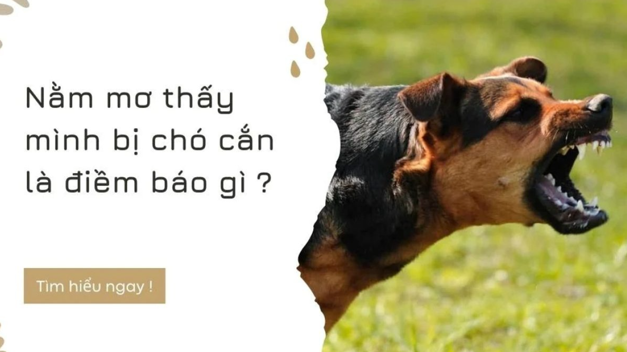 Mơ thấy chó cắn có điềm gì