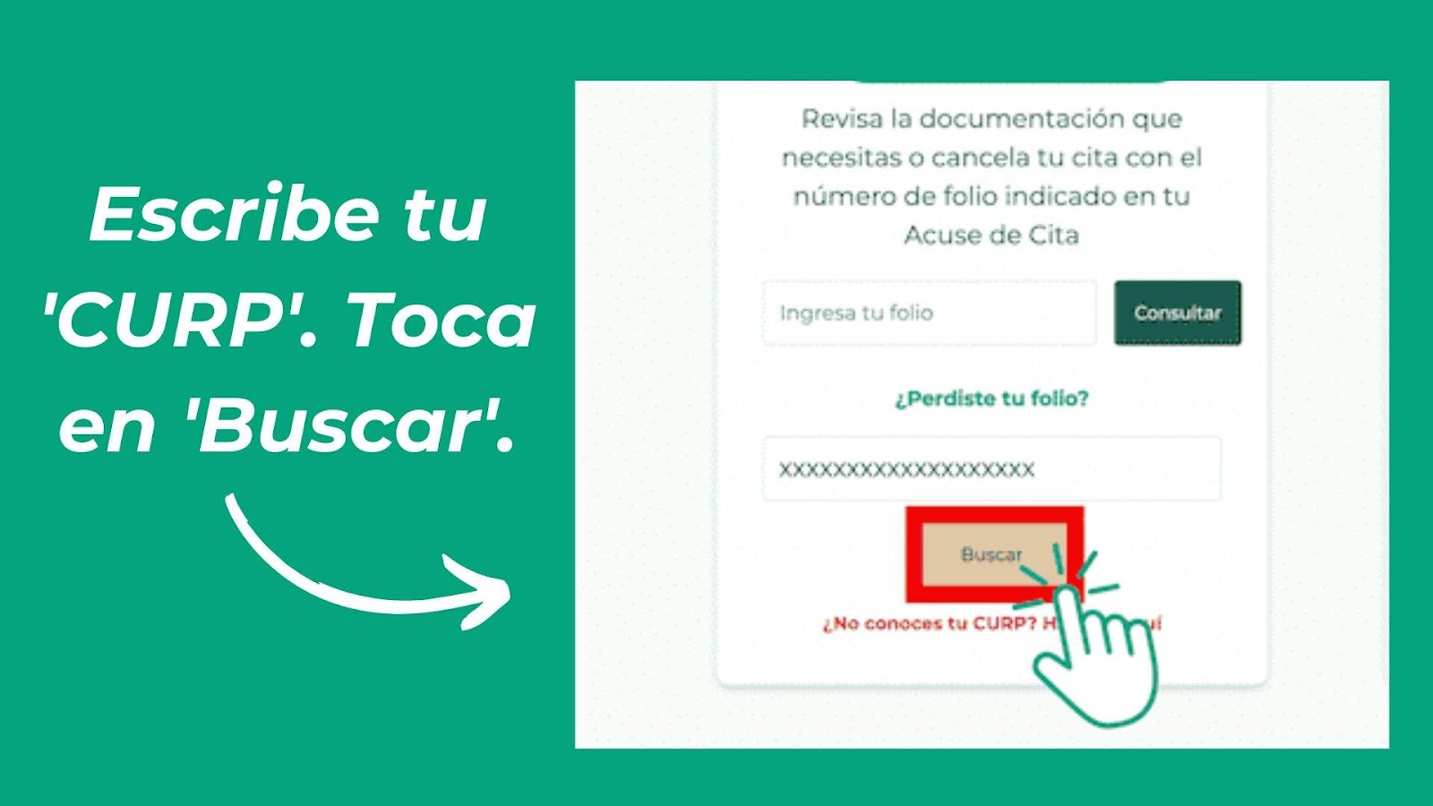 escribe tu curp. toca en buscar