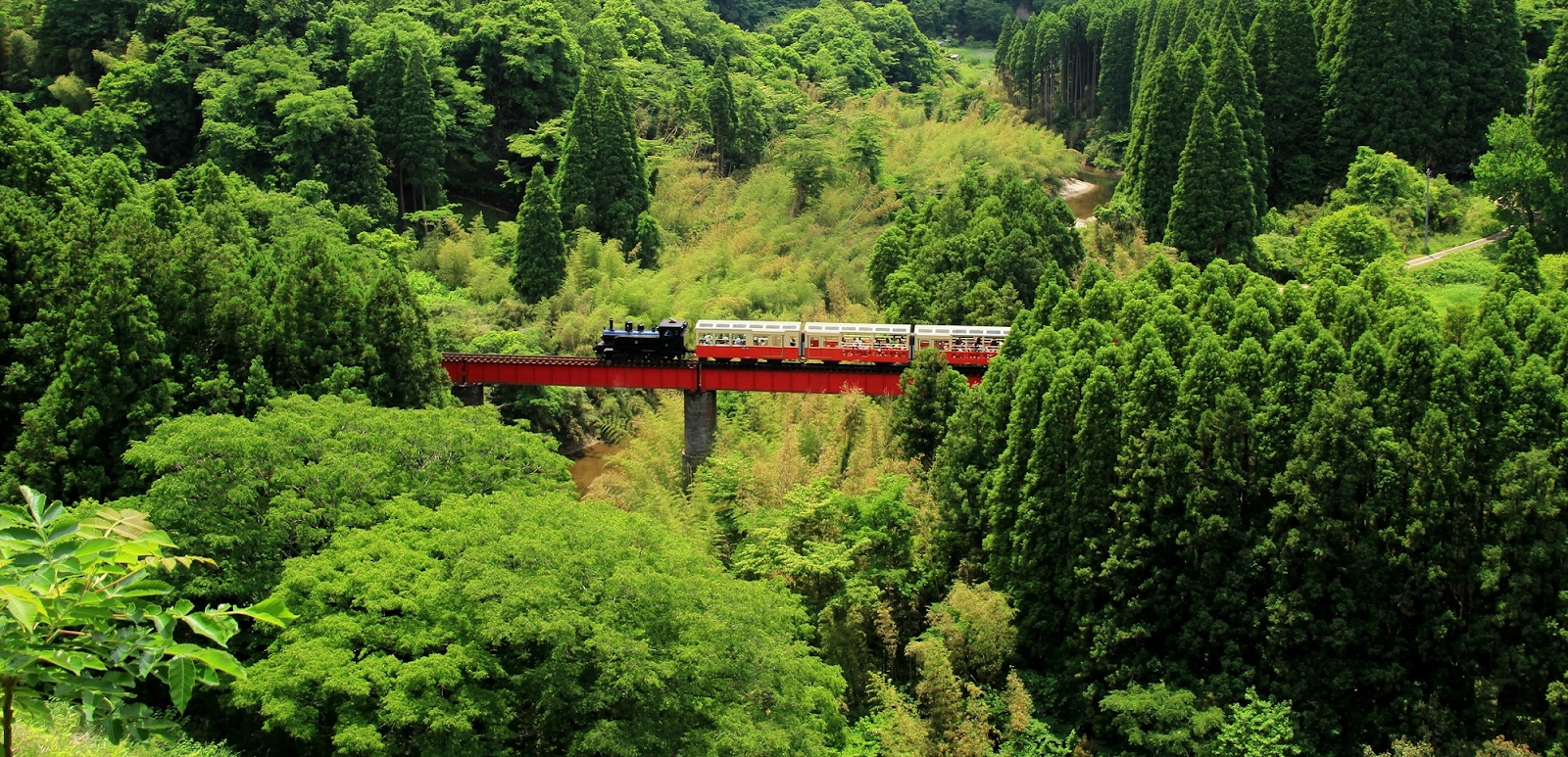a local train line in Chiba, known for its retro charm