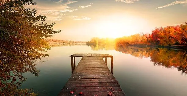 25 Nature Photos That Calm the Overthinking Mind, peaceful photos, nature therapy, nature, forest, landscape, mindful scenery, emotional calm