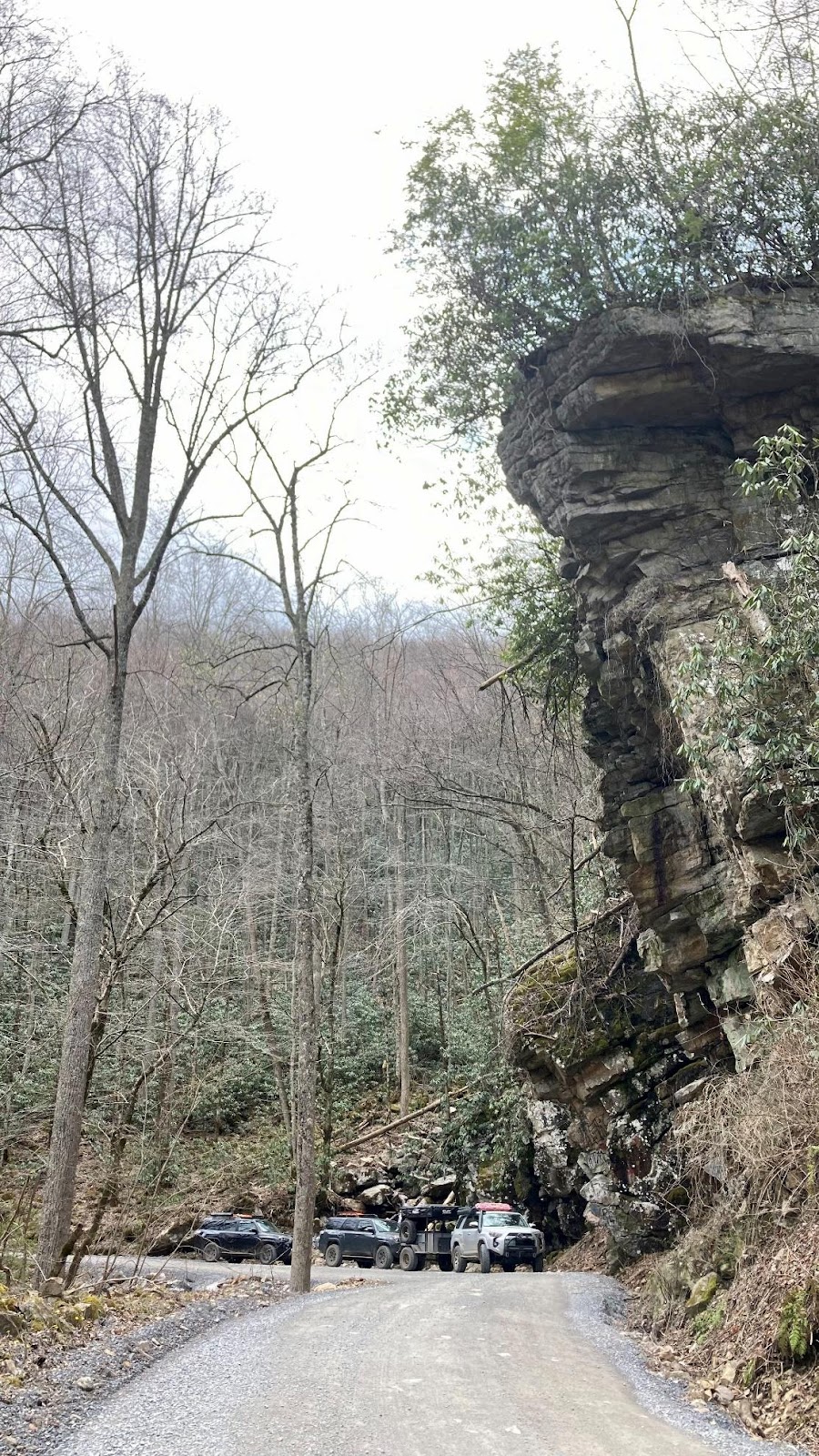 A rocky cliff in the woods

AI-generated content may be incorrect.