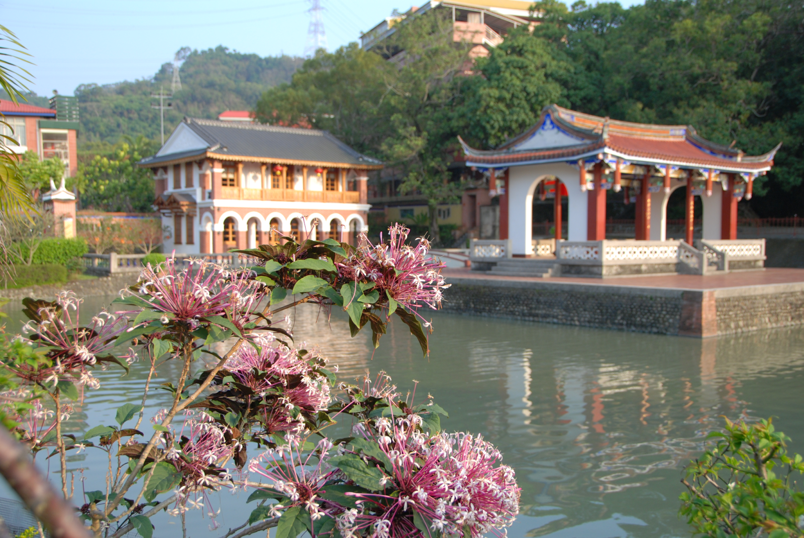 Nhà cổ Lâm An Thái