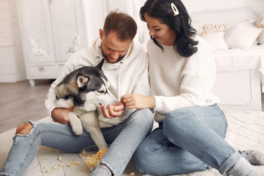 A couple spending time with their dog